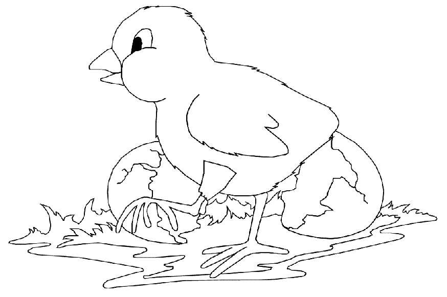 Coloring page: Hen (Animals) #17481 - Free Printable Coloring Pages