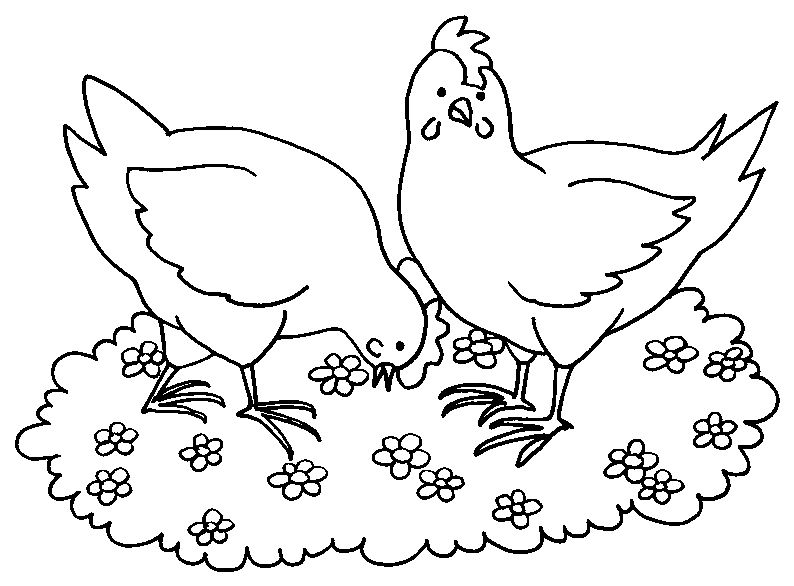 Coloring page: Hen (Animals) #17505 - Free Printable Coloring Pages