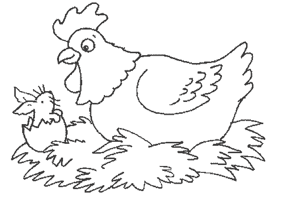 Coloring page: Hen (Animals) #17508 - Free Printable Coloring Pages