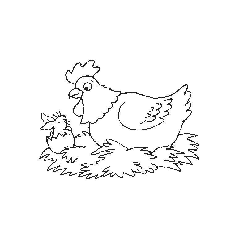 Coloring page: Hen (Animals) #17511 - Free Printable Coloring Pages