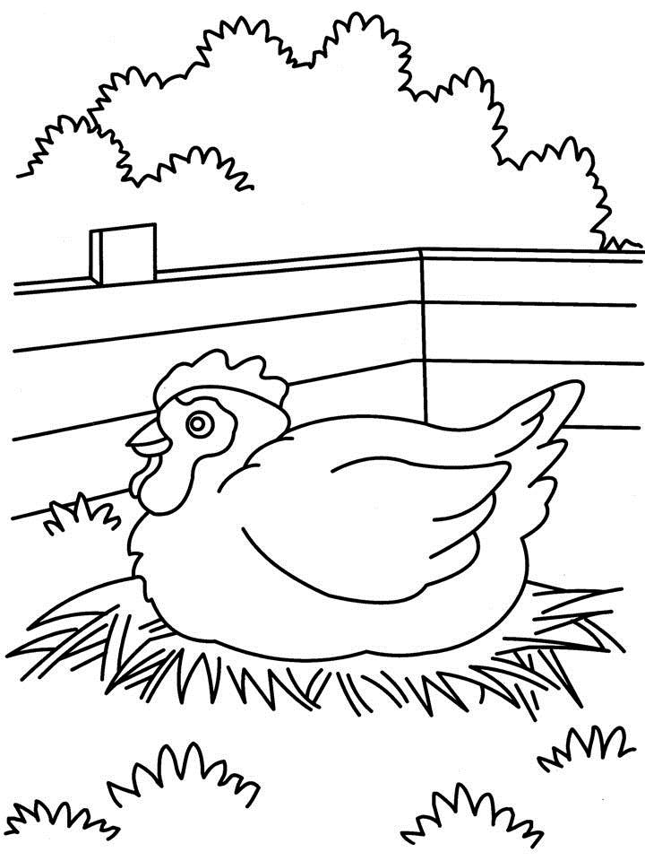 Coloring page: Hen (Animals) #17535 - Free Printable Coloring Pages