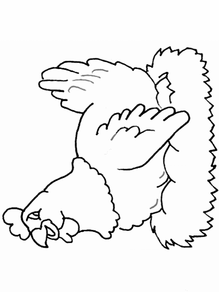 Coloring page: Hen (Animals) #17541 - Free Printable Coloring Pages