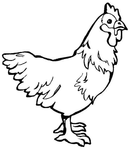 Coloring page: Hen (Animals) #17577 - Free Printable Coloring Pages
