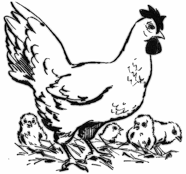 Coloring page: Hen (Animals) #17603 - Free Printable Coloring Pages