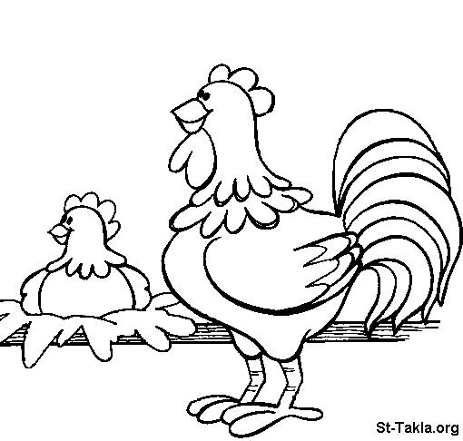 Coloring page: Hen (Animals) #17615 - Free Printable Coloring Pages