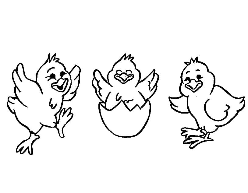 Free printable Hen and Chick coloring page #193175 from Animals collection