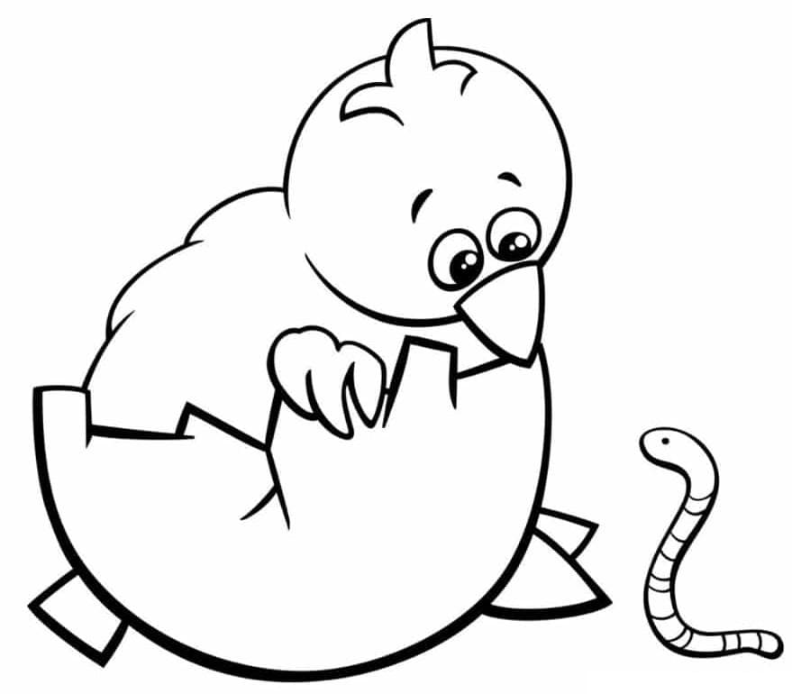 Free printable Hen and Chick coloring page #193180 from Animals collection