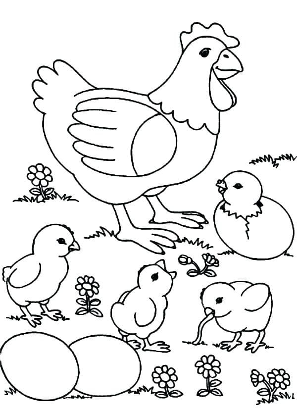 Free printable Hen and Chick coloring page #193191 from Animals collection Free printable Hen and Chick coloring page #193191 from Animals collection