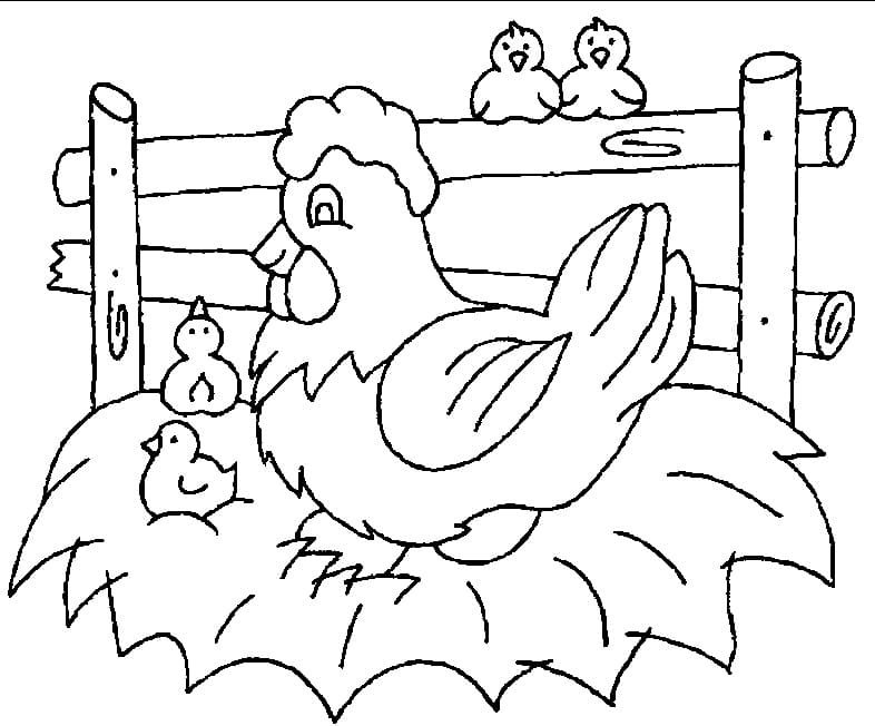 Free printable Hen and Chick coloring page #193192 from Animals collection