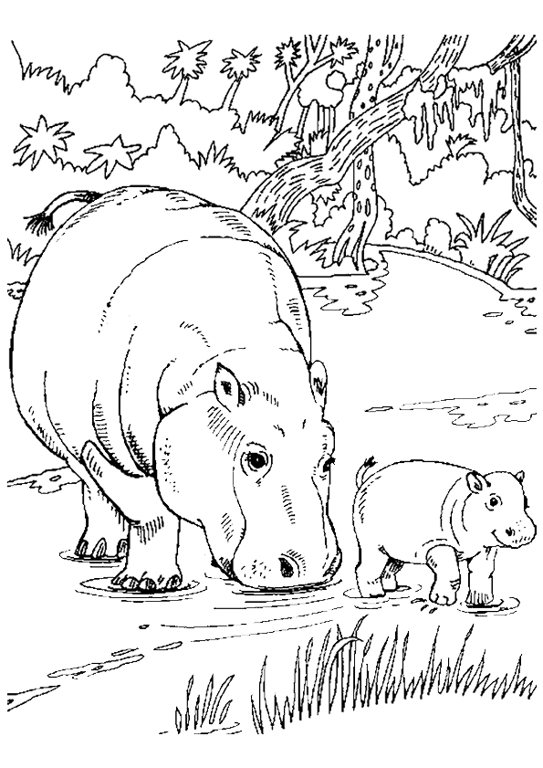 Coloring page: Hippopotamus (Animals) #8611 - Free Printable Coloring Pages