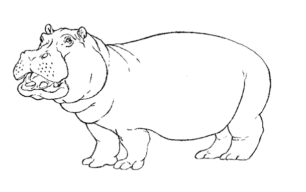 Coloring page: Hippopotamus (Animals) #8614 - Free Printable Coloring Pages