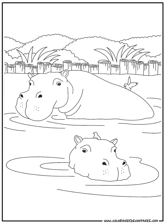Coloring page: Hippopotamus (Animals) #8633 - Free Printable Coloring Pages