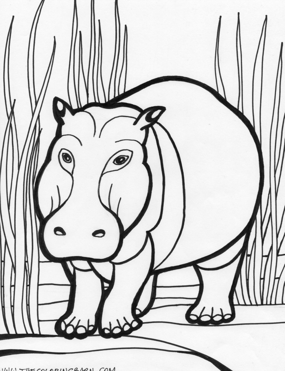 Coloring page: Hippopotamus (Animals) #8643 - Free Printable Coloring Pages