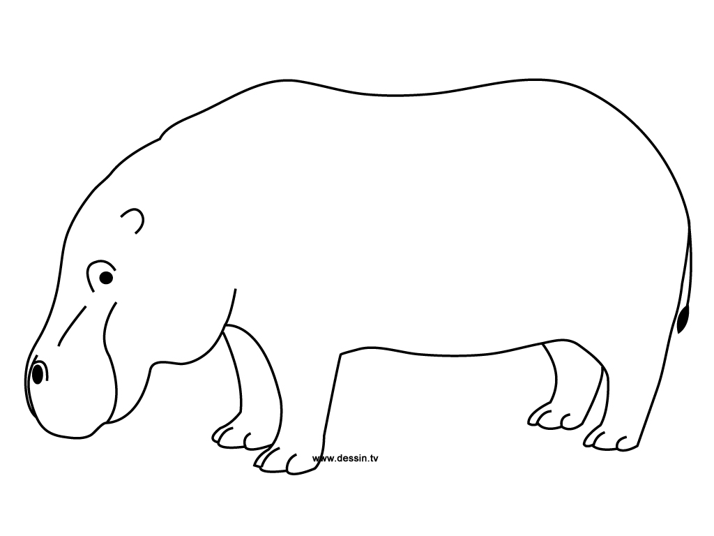 Coloring page: Hippopotamus (Animals) #8658 - Free Printable Coloring Pages