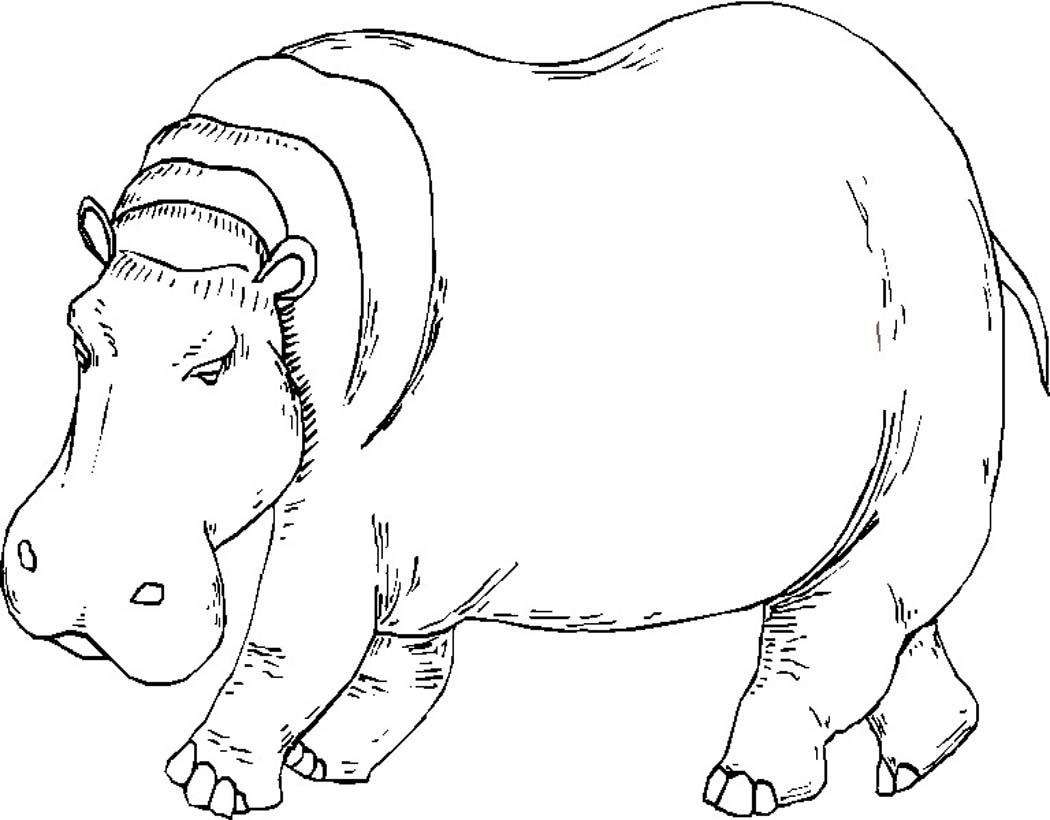 Coloring page: Hippopotamus (Animals) #8665 - Free Printable Coloring Pages