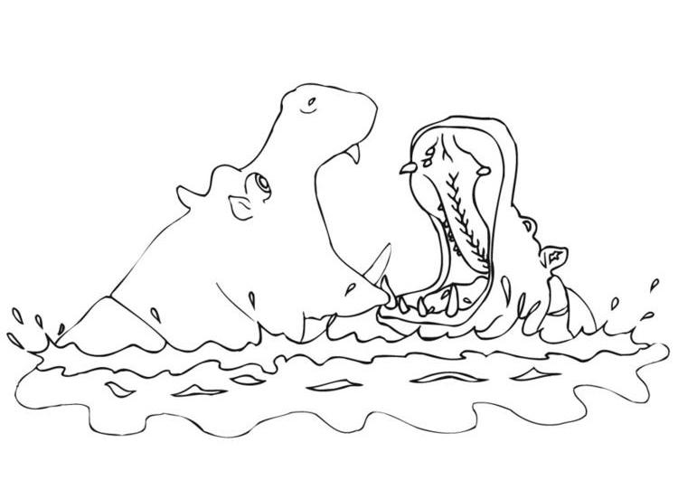 Coloring page: Hippopotamus (Animals) #8697 - Free Printable Coloring Pages