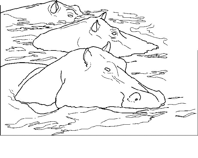 Coloring page: Hippopotamus (Animals) #8727 - Free Printable Coloring Pages