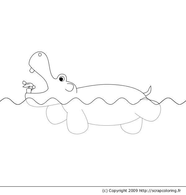 Coloring page: Hippopotamus (Animals) #8733 - Free Printable Coloring Pages