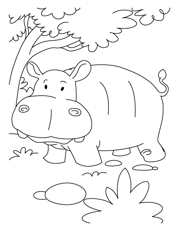 Coloring page: Hippopotamus (Animals) #8738 - Free Printable Coloring Pages