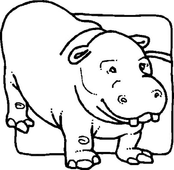 Coloring page: Hippopotamus (Animals) #8770 - Free Printable Coloring Pages