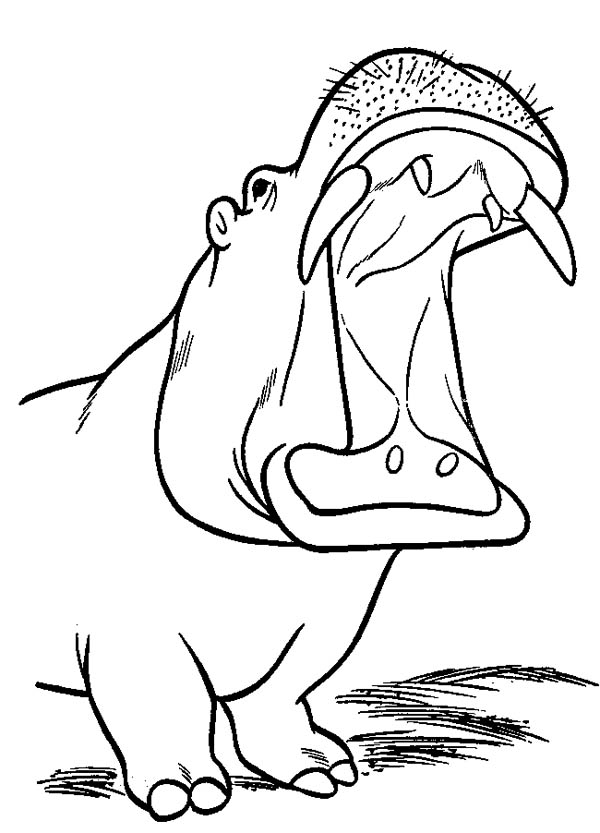 Coloring page: Hippopotamus (Animals) #8772 - Free Printable Coloring Pages