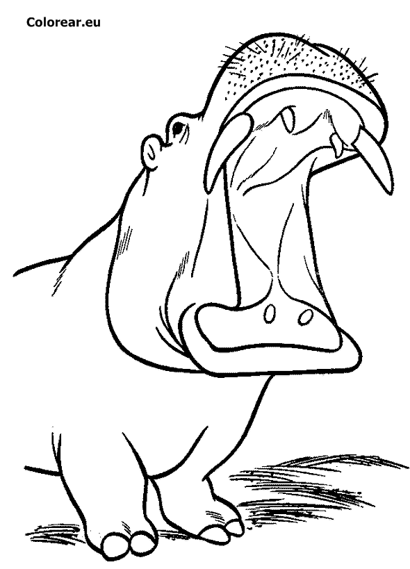 Coloring page: Hippopotamus (Animals) #8783 - Free Printable Coloring Pages