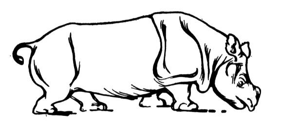 Coloring page: Hippopotamus (Animals) #8801 - Free Printable Coloring Pages