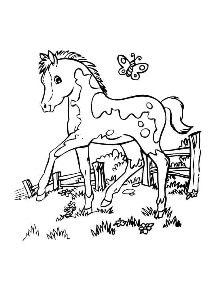 Free printable Horse coloring page #178243 from Animals collection