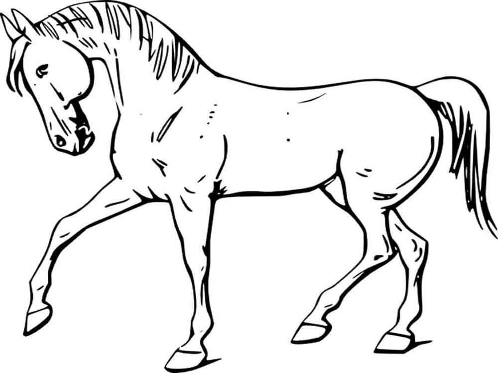 Free printable Horse coloring page #178258 from Animals collection