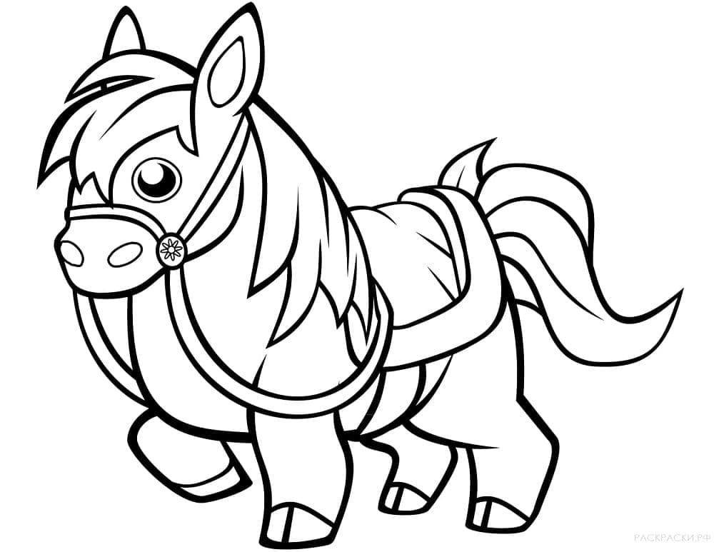 Free printable Horse coloring page #178265 from Animals collection