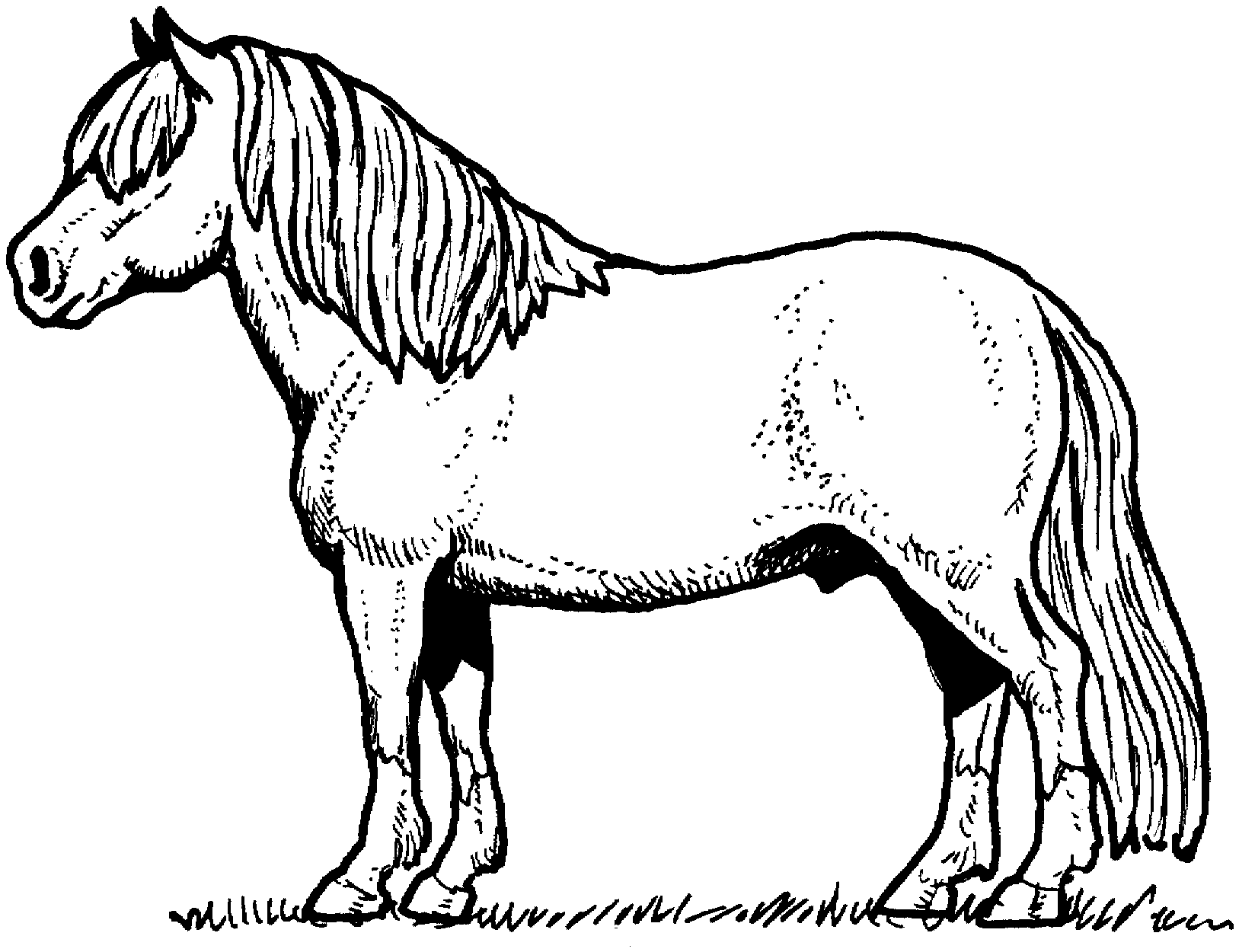 Coloring page: Horse (Animals) #2162 - Free Printable Coloring Pages