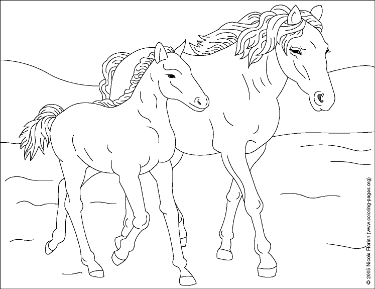 Coloring page: Horse (Animals) #2165 - Free Printable Coloring Pages
