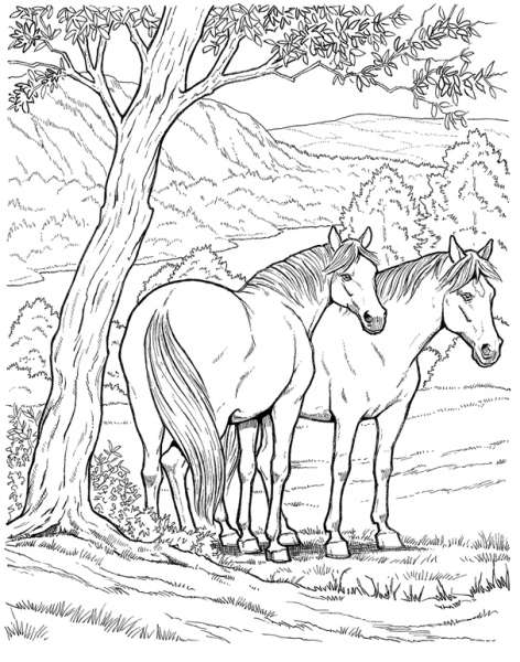 Coloring page: Horse (Animals) #2172 - Free Printable Coloring Pages