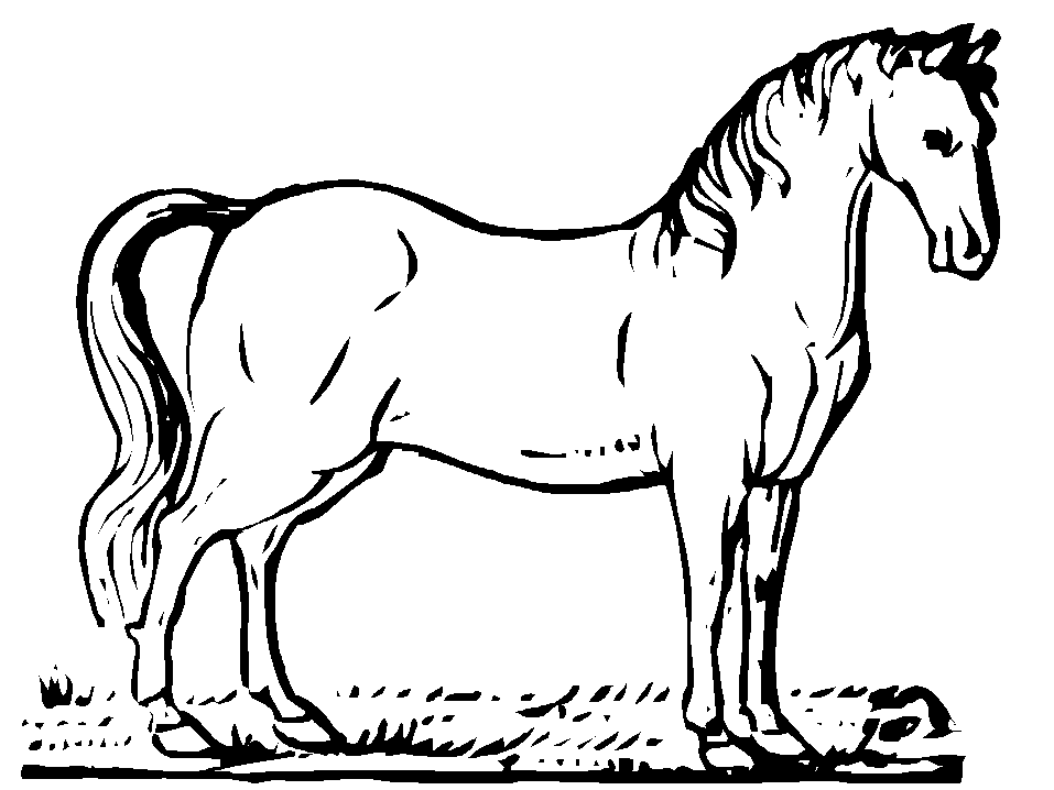 Coloring page: Horse (Animals) #2176 - Free Printable Coloring Pages