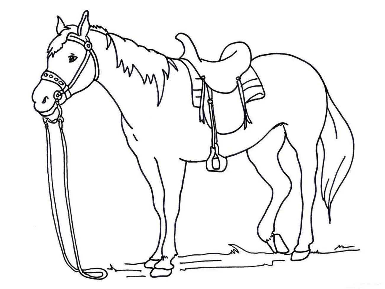 Free printable Horse coloring page #217698 from Animals collection