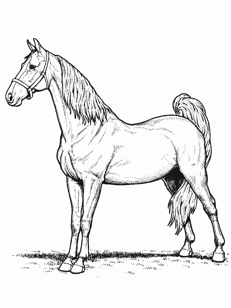 Coloring page: Horse (Animals) #2184 - Free Printable Coloring Pages