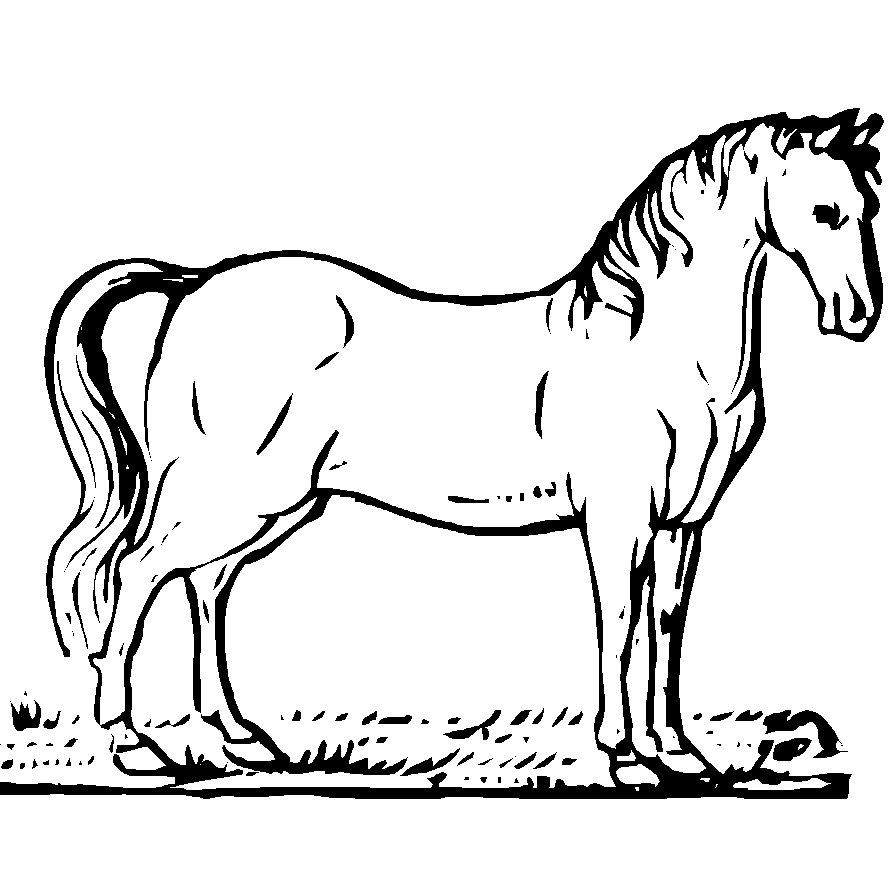 Coloring page: Horse (Animals) #2198 - Free Printable Coloring Pages