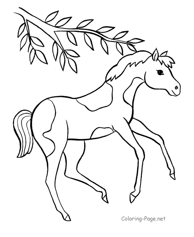 Coloring page: Horse (Animals) #2202 - Free Printable Coloring Pages