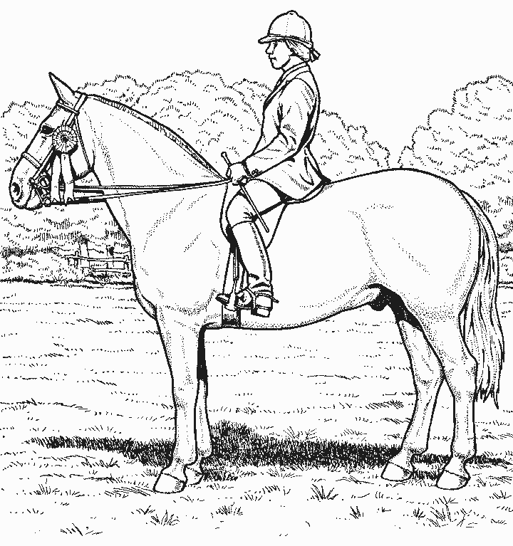 Coloring page: Horse (Animals) #2211 - Free Printable Coloring Pages