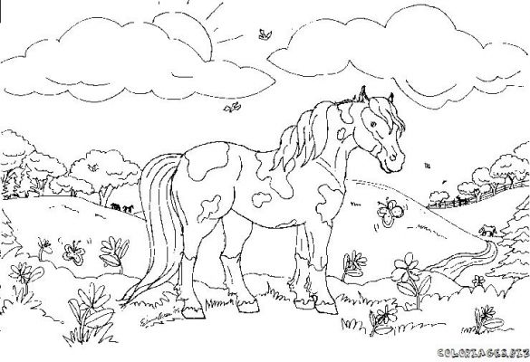 Coloring page: Horse (Animals) #2223 - Free Printable Coloring Pages