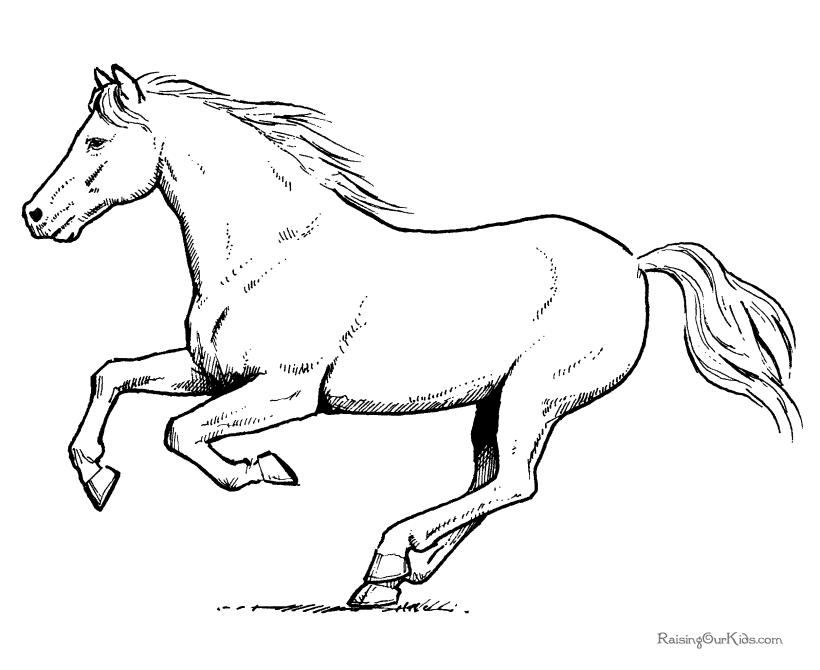 Coloring page: Horse (Animals) #2237 - Free Printable Coloring Pages