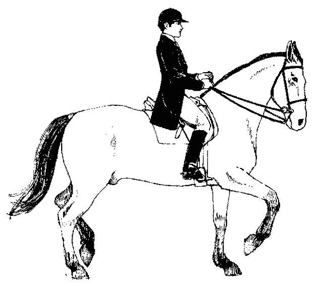 Coloring page: Horse (Animals) #2261 - Free Printable Coloring Pages
