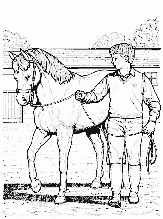 Coloring page: Horse (Animals) #2264 - Free Printable Coloring Pages