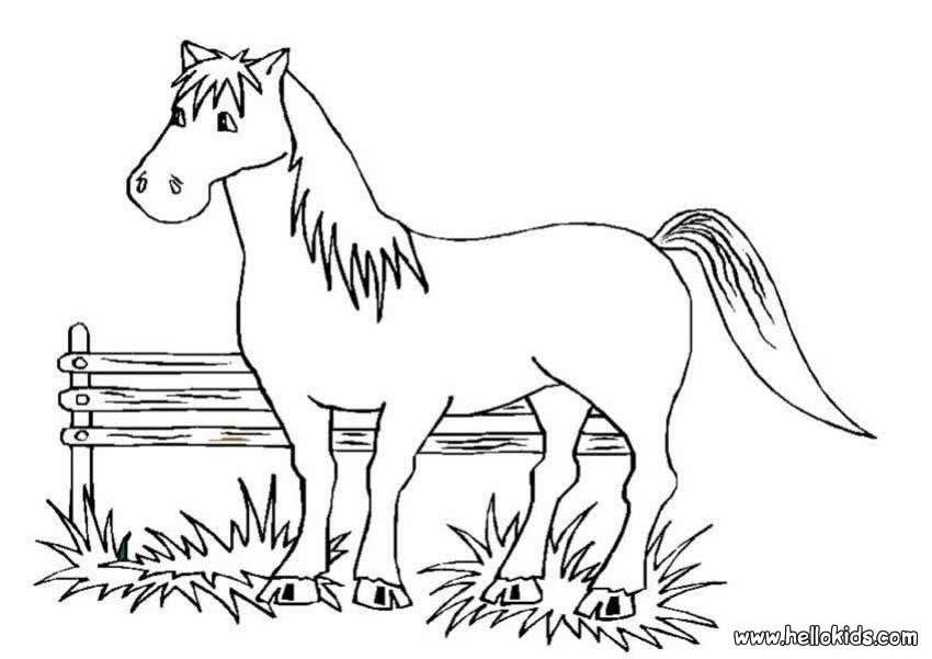 Coloring page: Horse (Animals) #2269 - Free Printable Coloring Pages