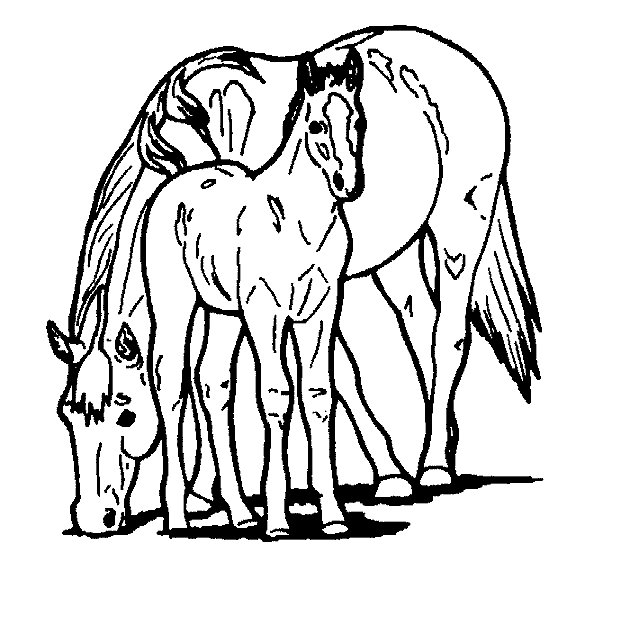 Coloring page: Horse (Animals) #2275 - Free Printable Coloring Pages