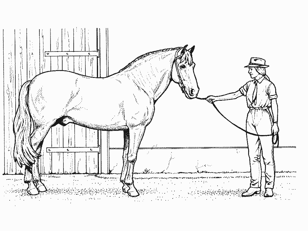 Coloring page: Horse (Animals) #2308 - Free Printable Coloring Pages