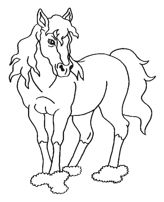 Coloring page: Horse (Animals) #2318 - Free Printable Coloring Pages
