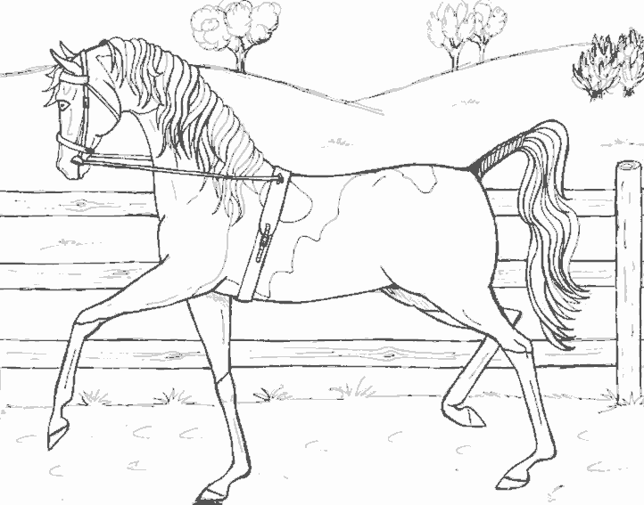 Coloring page: Horse (Animals) #2334 - Free Printable Coloring Pages