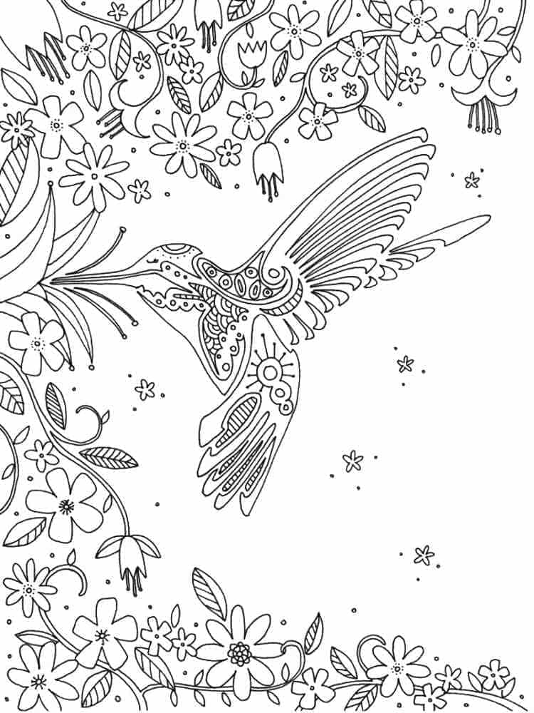 Free printable Humming-bird coloring page #208574 from Animals collection Free printable Humming-bird coloring page #208574 from Animals collection
