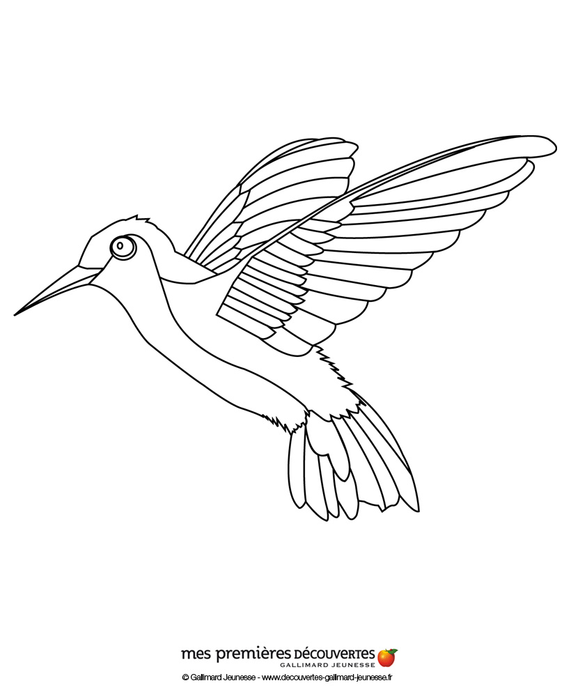 Coloring page: Humming-bird (Animals) #3797 - Free Printable Coloring Pages